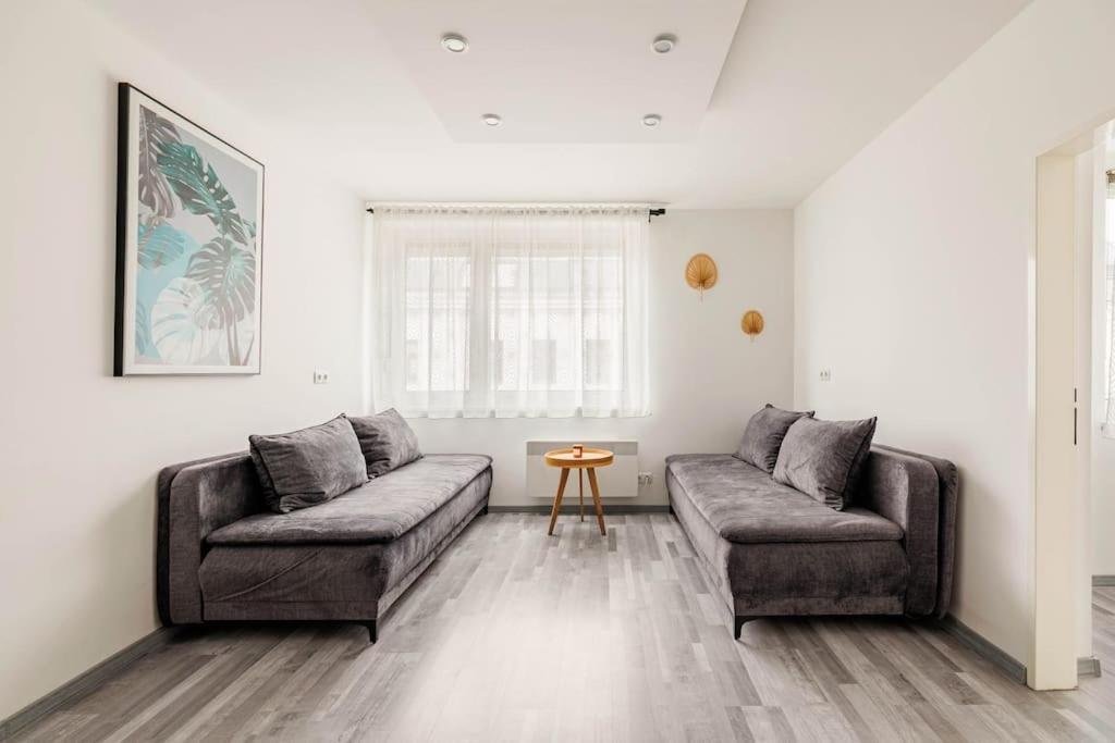 Cozy Renovated Close To Schoenbrunn Palace * Wien